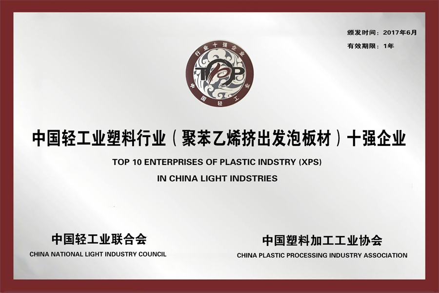中國輕工業塑料行業十強企業